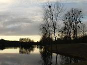 Etang Pierre-la-Treiche