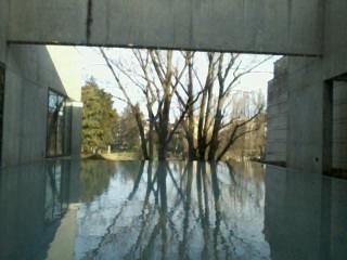 Philippe Cognée et Picasso