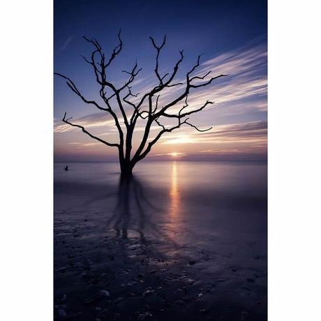 Michael Woloszynowicz