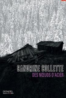 DES NOEUDS D'ACIER de Sandrine Collette