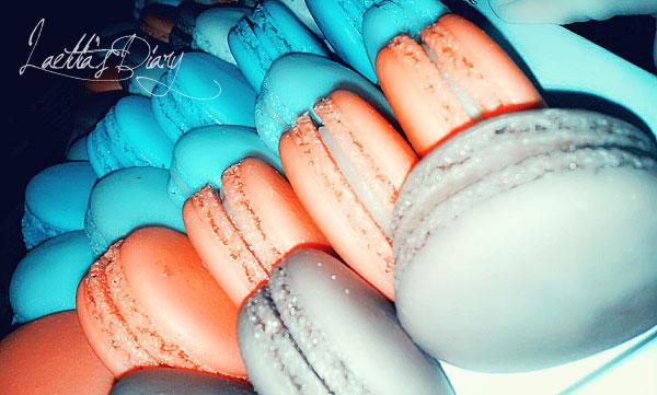 [Instagram] Décembre 2012 en images