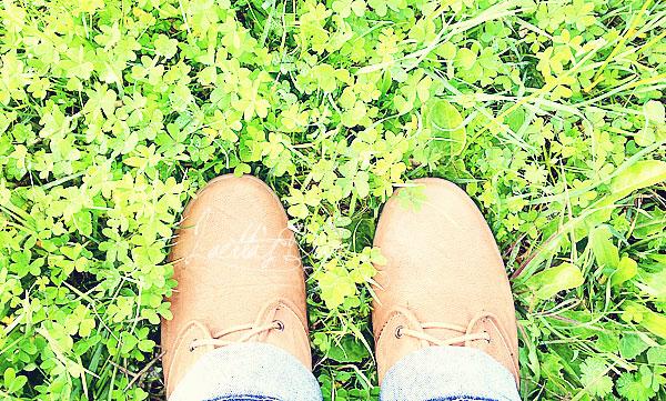 [Instagram] Décembre 2012 en images