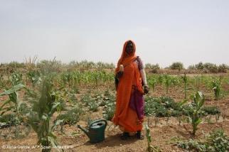 Préparation de l’agenda pour le développement post-OMD