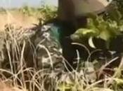 dans l’air Entrainement l’armée malienne