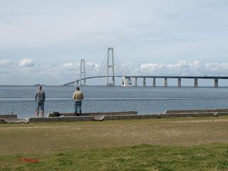 Le pont du Storebælt