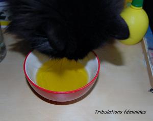 Même Astuce a apprécié le résultat !