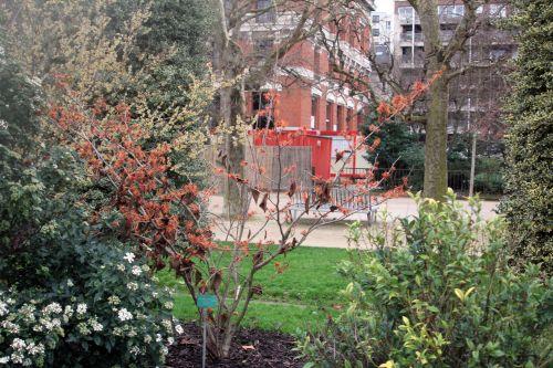 jelena 2 paris 12 janv 2013 084.jpg