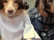 Zack Snyder film Star Wars