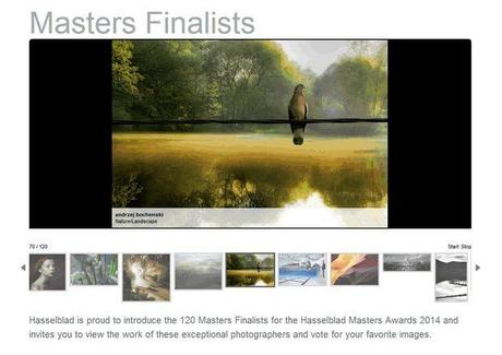 Hasselblad finalists gallery