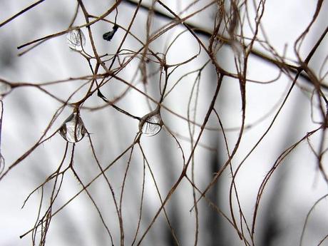 Plusieurs degrés en haut de zéro !!! DSC06036