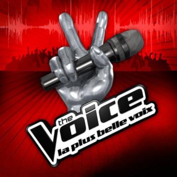 The Voice Saison 2 : A partir du 2 février sur TF1