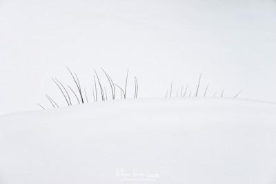 Technique :  la photographie en hiver