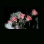 Not Not Fun records – Chroniques