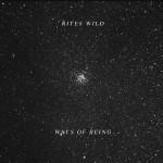 Not Not Fun records – Chroniques