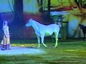 Gala Crinières d'Or Cheval Passion 2012