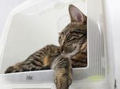 Votre vieil iMac niche chat...