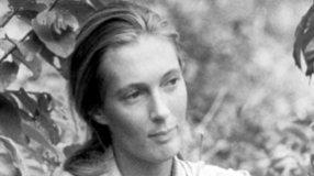 jane goodall communaute singe monkey tanzanie gombe roots