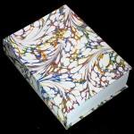 Le dictionnaire Google Images !