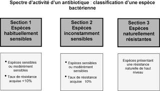 Cadre règlementaire global pour l’étude des besoins non satisfaits en matière de traitements antibactériens nouveaux