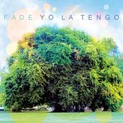 yolatengo_fade_gsw