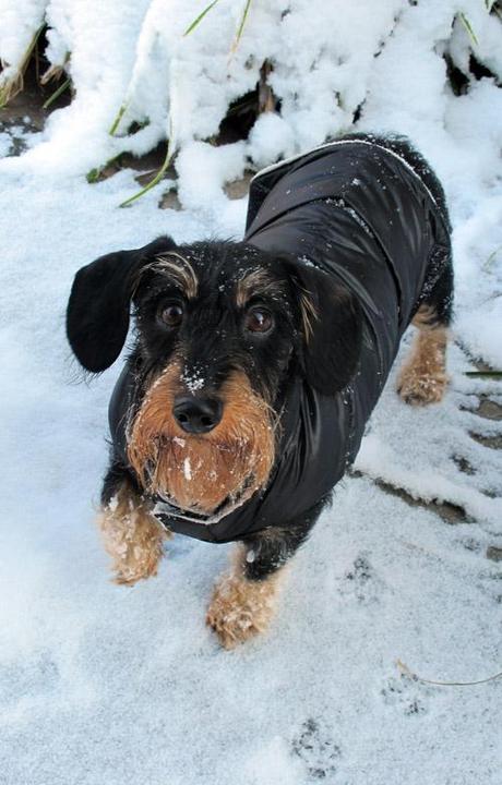 Cold Feet coldfeet-4