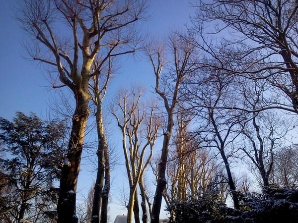 Du blanc, du blanc et du grand bleu