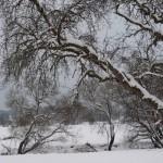 Soldes, Vosges … Bonheur.