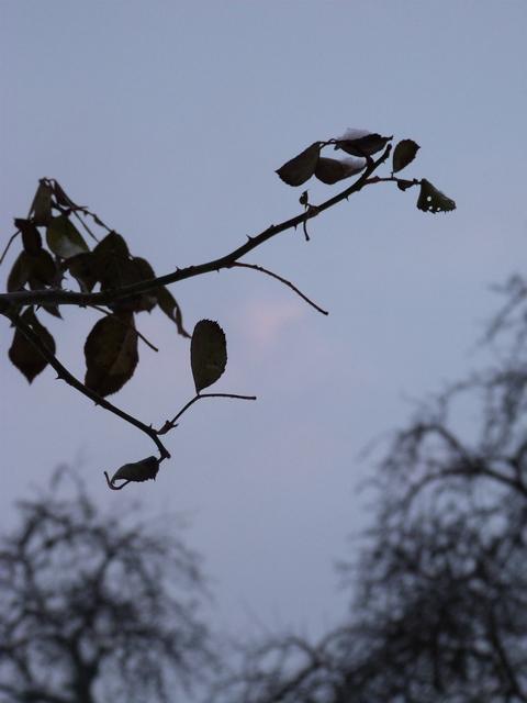 Soldes, Vosges … Bonheur.