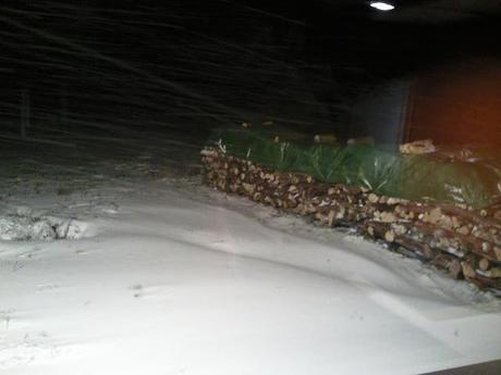 Neige sur bois Neige sur bois