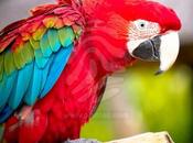 Juste pour parler…..