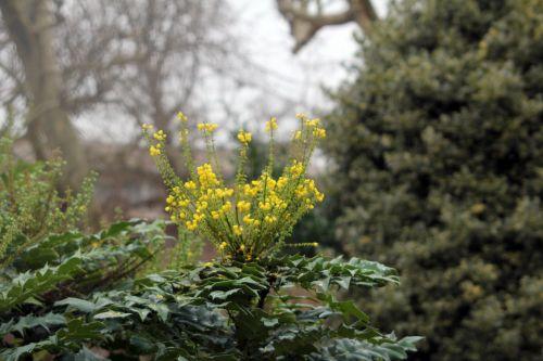 charity 1 paris 12 janv 2013 066.jpg