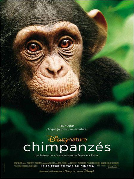 Critique Cinéma : Chimpanzés