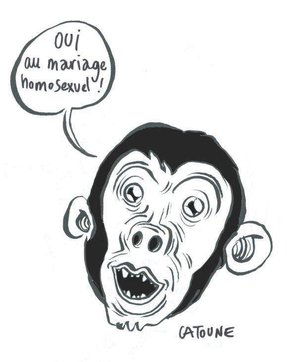 chimpanzé singe catoune