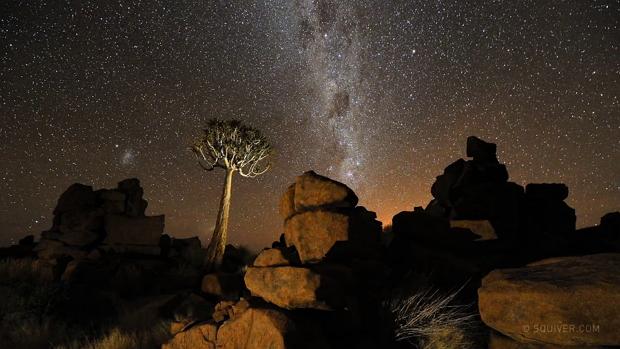 Namibian Nights