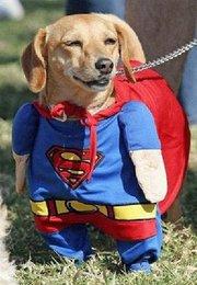 187989 169749026389848 5962390 n