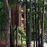 Le best of des maisons dans les arbres!