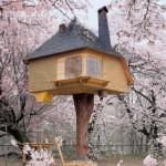 Le best of des maisons dans les arbres!