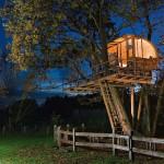 Le best of des maisons dans les arbres!
