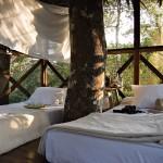 Le best of des maisons dans les arbres!