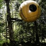 Le best of des maisons dans les arbres!