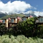 Le best of des maisons dans les arbres!