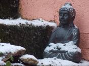 buddha, nain trépide danse pelle