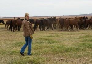 15 nouvelles photos de A la merveille to-the-wonder-rachel-mcadams-horses