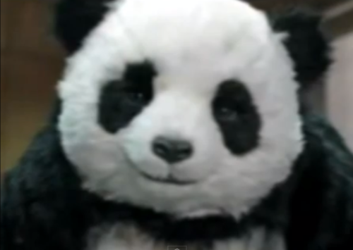 Capture d’écran 2013-01-19 à 02.18.38