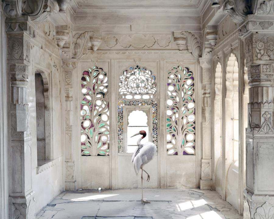 India Song - A Place like Amravati Udaipur City Palace Udaipur - Karen Knorr