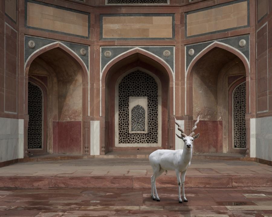 India Song - The Witness Humayuns Tomb Delhi - Karen Knorr