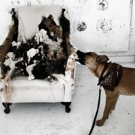 Patricia-Larsen-Home-9