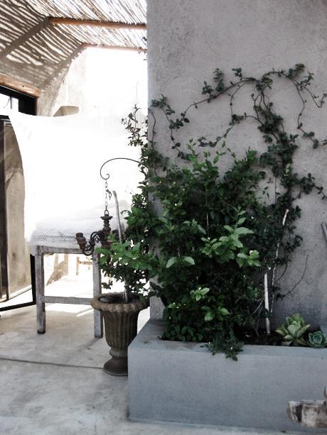 Patricia-Larsen-Home-1