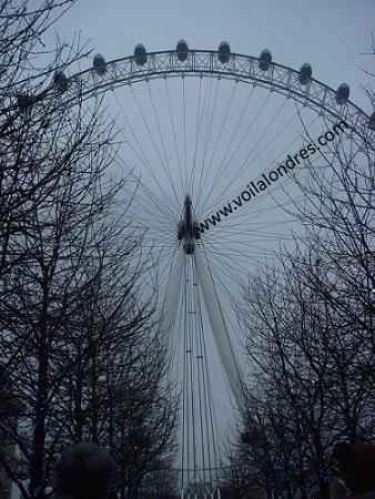 London Eye 1 copy