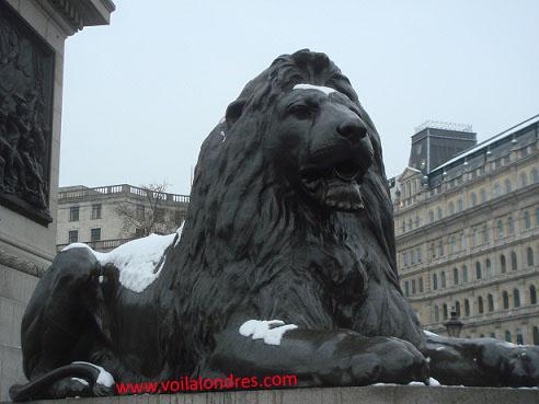 lion Trafalgar Square Londres